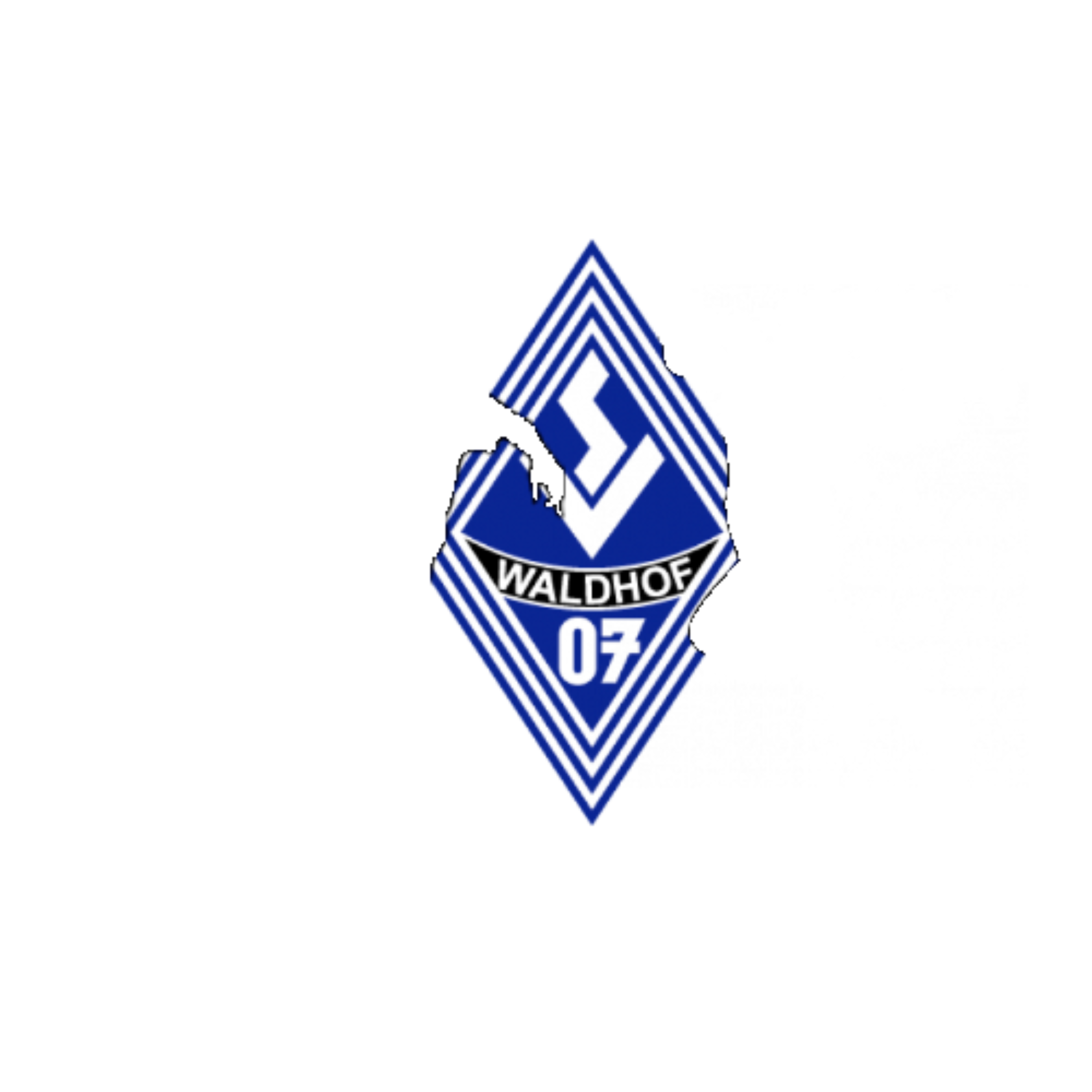 Waldhof Handballer